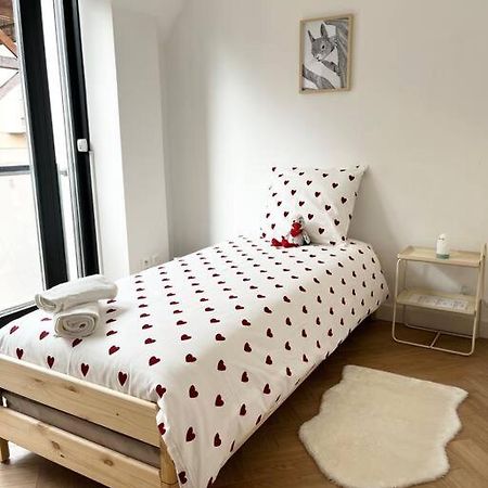 Cocon D'Alsace Apartment Colmar Bagian luar foto