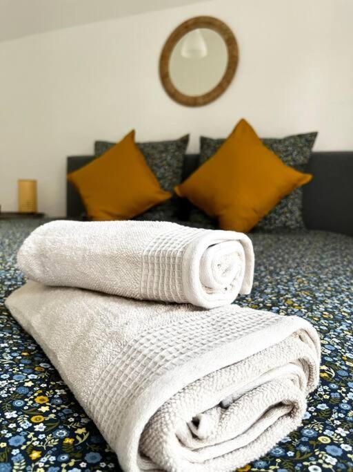 Cocon D'Alsace Apartment Colmar Bagian luar foto