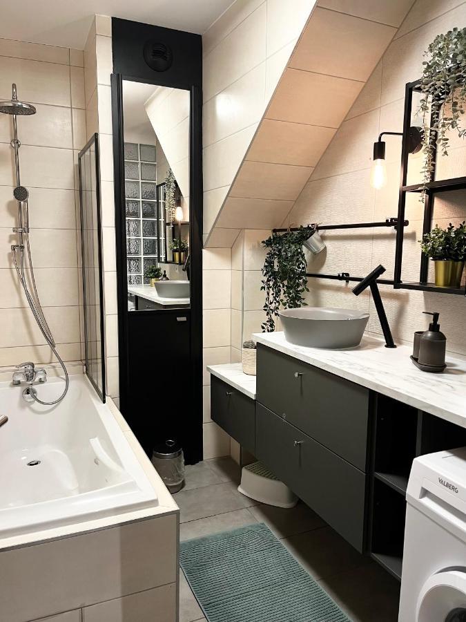 Cocon D'Alsace Apartment Colmar Bagian luar foto