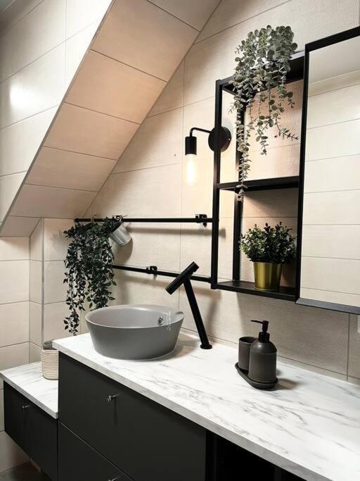 Cocon D'Alsace Apartment Colmar Bagian luar foto